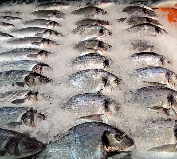 Uitgebreid visassortiment