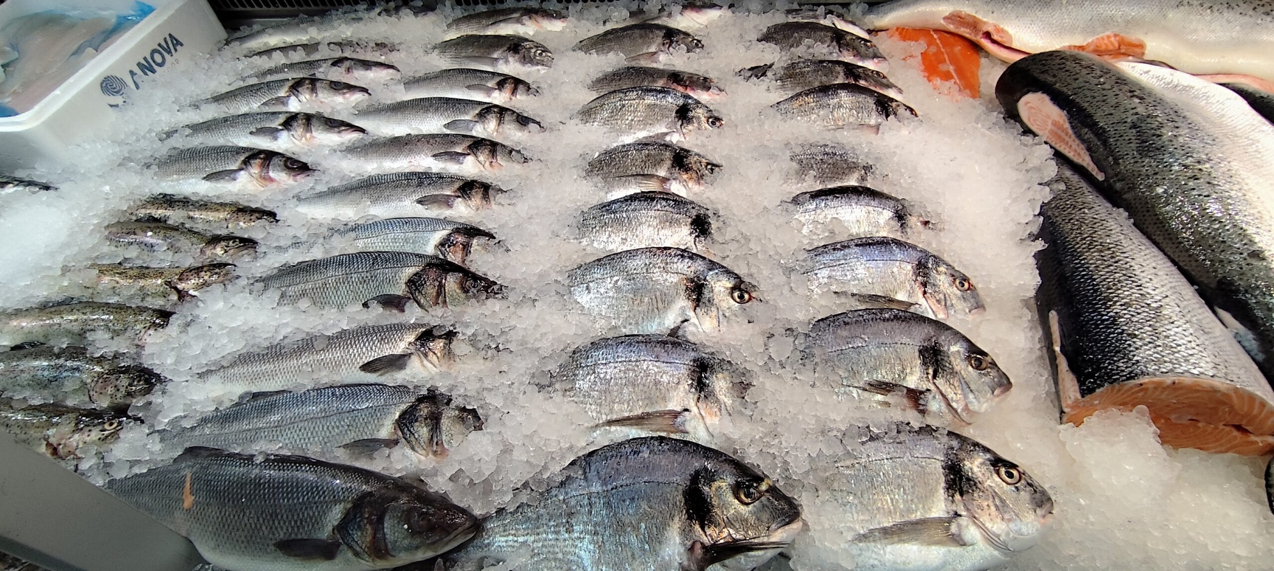 Uitgebreid visassortiment